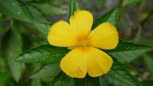 G430a2a28582b07eb2ed8111deaebde16ee0f2b35cbde8495adf2b0aa249d5298705e763ddba05e695c8d5d29ee5601b6489eec9d0947e1550f30dfd98b0dbb17 640