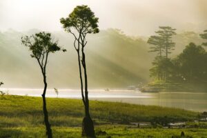 G4aeb4b7c7733e4394849235523c57ba937bef5af12867e9e92a0b35ca04807e778440eef4c3ab81bb1be44dc418a92f8f99508ea20a8a1e6bf72d34990e26e7f 640