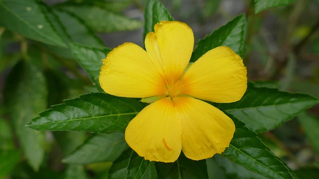 Ga3c64eedf4c9c697eb383d9ae768a3c5295abf2d4732434c16665aec18eca0927609e875c8719c68d3f744af48231ca22d5a87c2a025c5e9ab7a1441383a2397 640