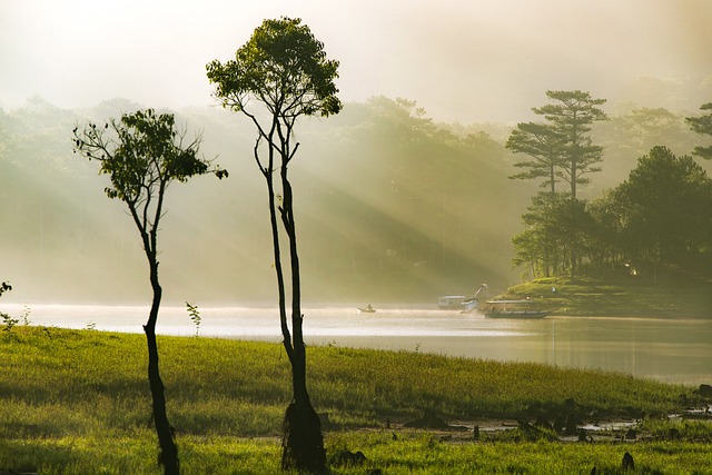 Gd04967d1b90a3213d38244d8071afe39bd3d2912b7a63b2f7fb2594e85c351d3269387d9b2a5fad7cd5a900300f3afc4d2ea1c5b24c8618b66ec9f0d4ed1ed13 640